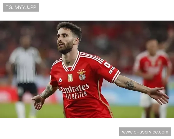 本菲卡球迷赴美观赛遭拒签 损失近 8000 元梦碎世俱杯